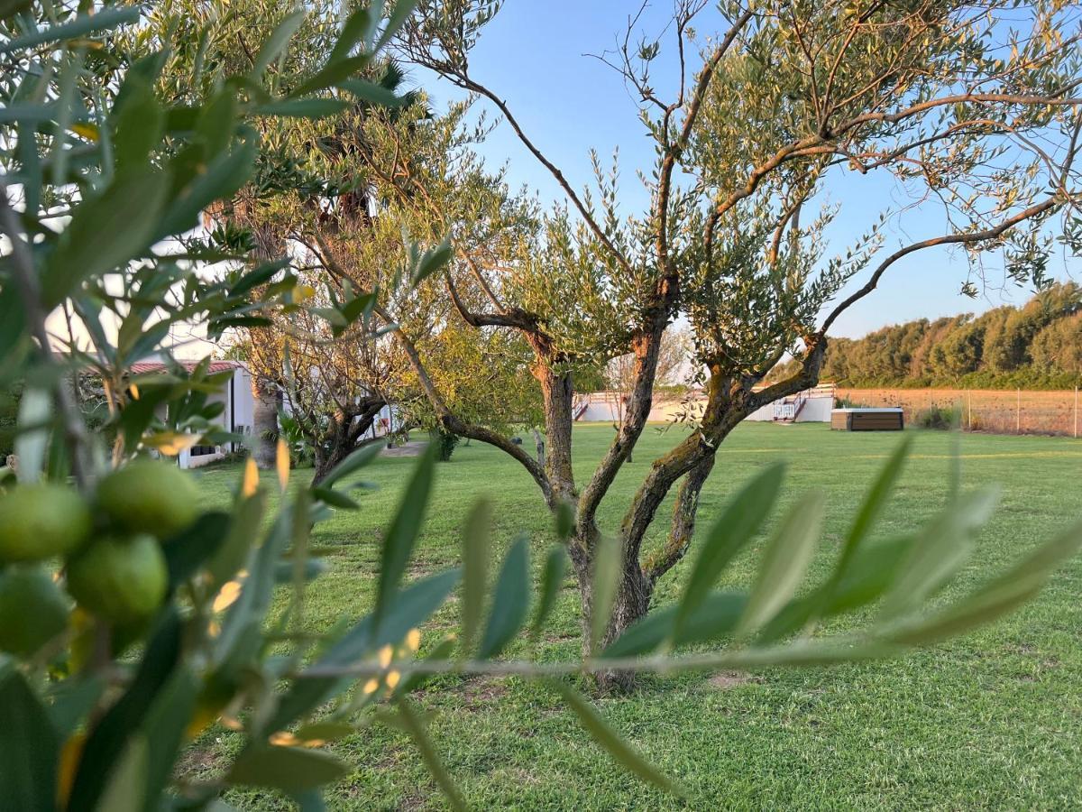 Podere Cala Viola Villa Porto Conte Exterior foto